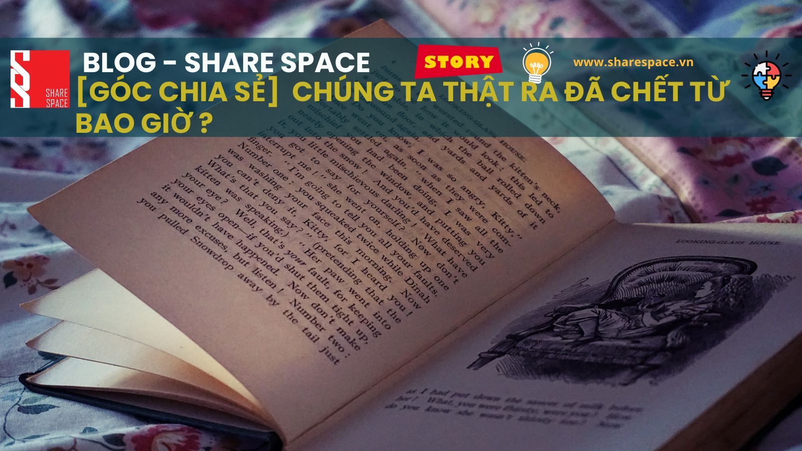 SHARE SPACE 36